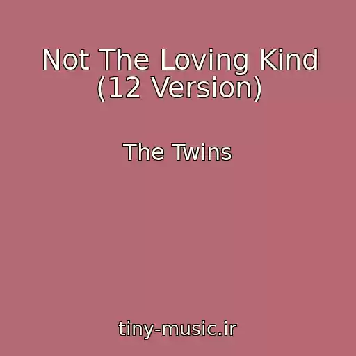 کاور آهنگ Not The Loving Kind (12 Version) از The Twins