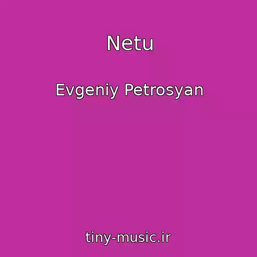 کاور آهنگ Netu از Evgeniy Petrosyan