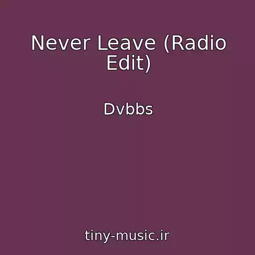 کاور آهنگ Never Leave (Radio Edit) از Dvbbs
