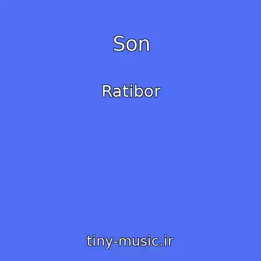 کاور آهنگ Son از Ratibor