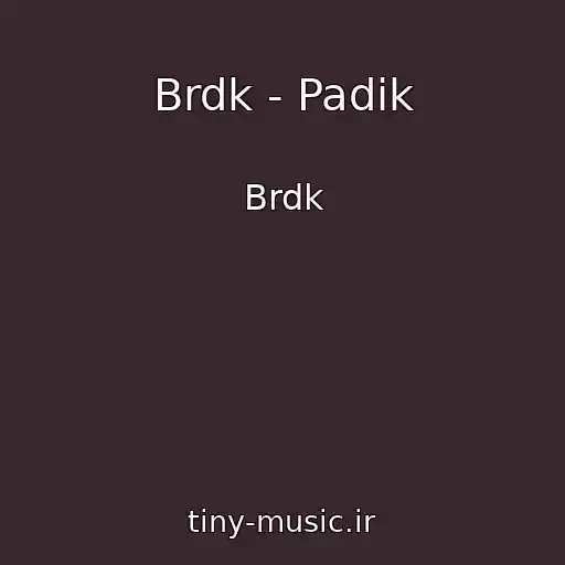 کاور آهنگ Brdk - Padik از Brdk