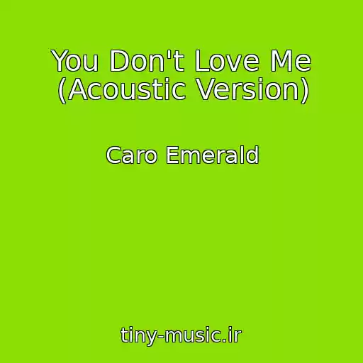 کاور آهنگ You Don't Love Me (Acoustic Version) از Caro Emerald