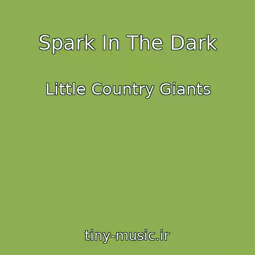 کاور آهنگ Spark In The Dark از Little Country Giants