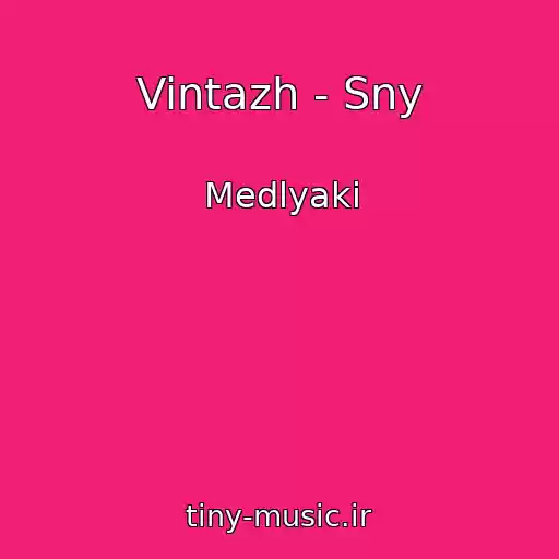 کاور آهنگ Vintazh - Sny از Medlyaki