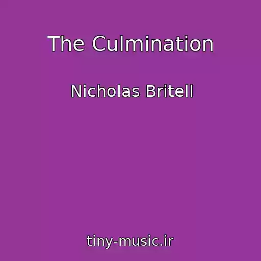 کاور آهنگ The Culmination از Nicholas Britell