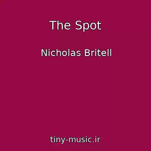 کاور آهنگ The Spot از Nicholas Britell
