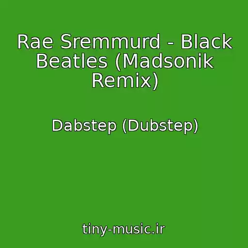 کاور آهنگ Rae Sremmurd - Black Beatles (Madsonik Remix) از Dabstep (Dubstep)