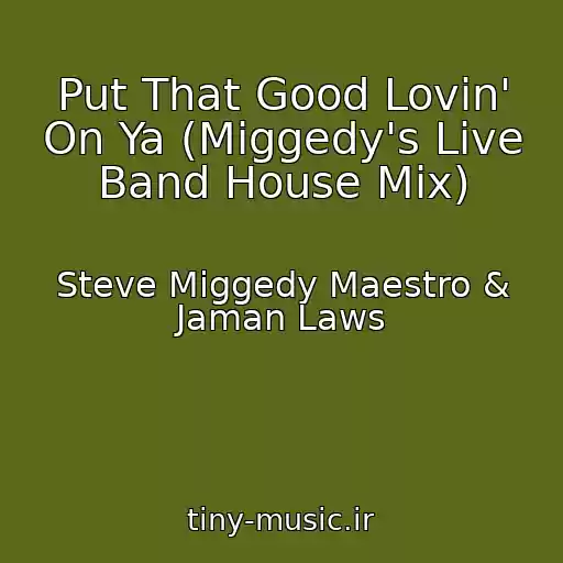 کاور آهنگ Put That Good Lovin' On Ya (Miggedy's Live Band House Mix) از Steve Miggedy Maestro & Jaman Laws