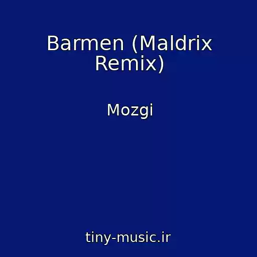 کاور آهنگ Barmen (Maldrix Remix) از Mozgi