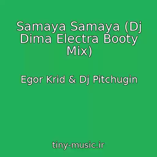 کاور آهنگ Samaya Samaya (Dj Dima Electra Booty Mix) از Egor Krid & Dj Pitchugin