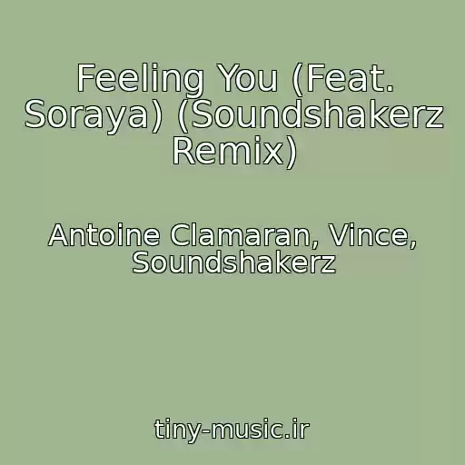 کاور آهنگ Feeling You (Feat. Soraya) (Soundshakerz Remix) از Antoine Clamaran, Vince, Soundshakerz