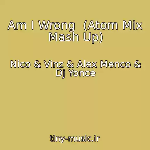 کاور آهنگ Am I Wrong  (Atom Mix Mash Up) از Nico & Vinz & Alex Menco & Dj Yonce