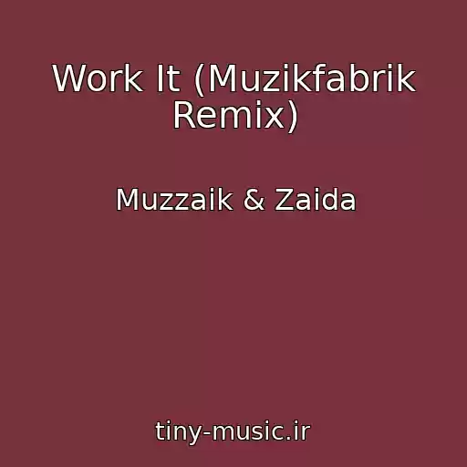 کاور آهنگ Work It (Muzikfabrik Remix) از Muzzaik & Zaida