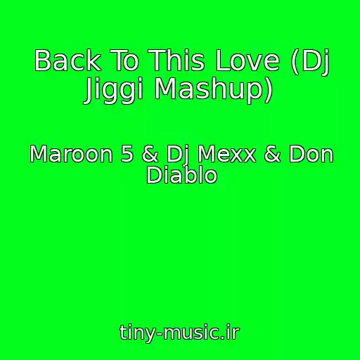 کاور آهنگ Back To This Love (Dj Jiggi Mashup) از Maroon 5 & Dj Mexx & Don Diablo