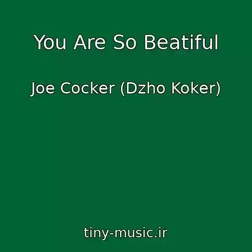 کاور آهنگ You Are So Beatiful از Joe Cocker (Dzho Koker)