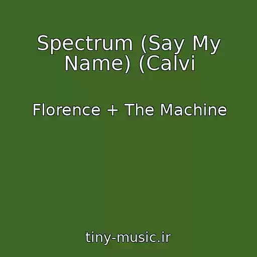 کاور آهنگ Spectrum (Say My Name) (Calvi از Florence + The Machine