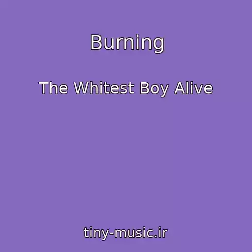 کاور آهنگ Burning از The Whitest Boy Alive