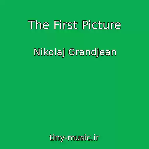 کاور آهنگ The First Picture از Nikolaj Grandjean