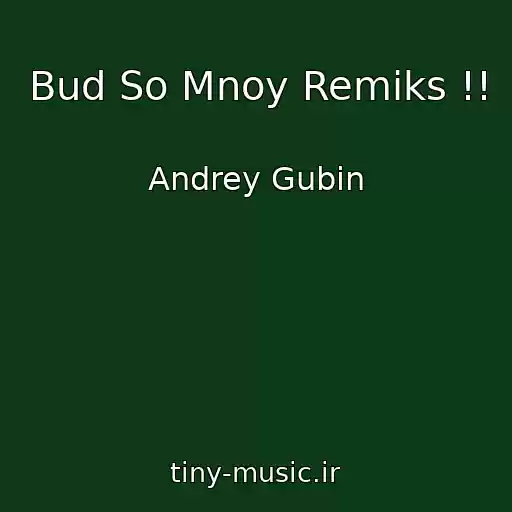 کاور آهنگ Bud So Mnoy Remiks !! از Andrey Gubin