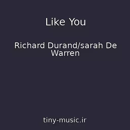 کاور آهنگ Like You از Richard Durand/sarah De Warren