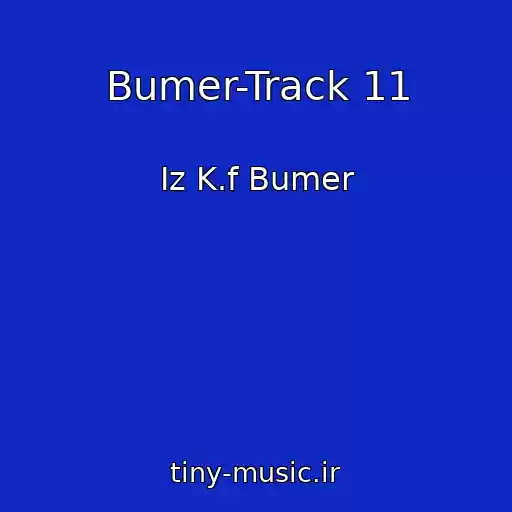 کاور آهنگ Bumer-Track 11 از Iz K.f Bumer