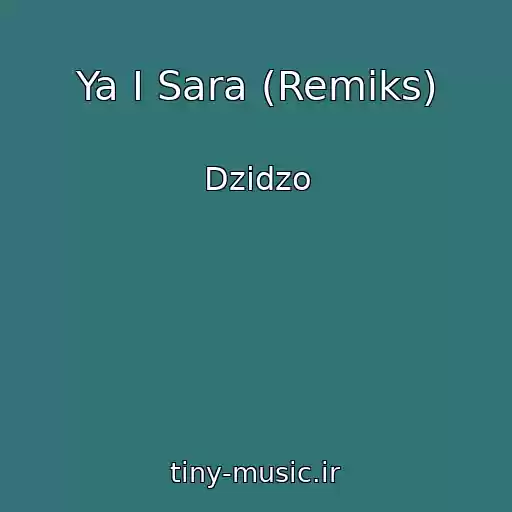 کاور آهنگ Ya I Sara (Remiks) از Dzіdzo