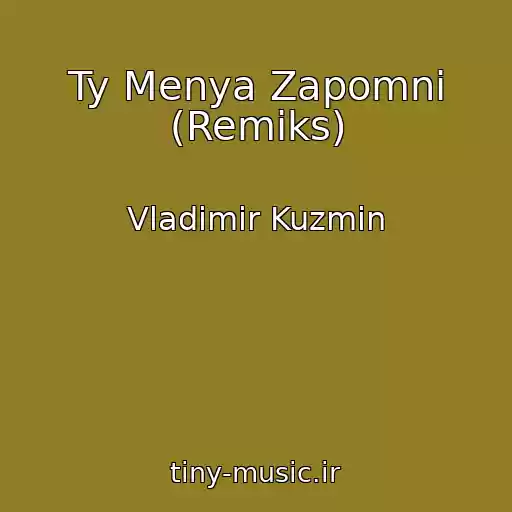 کاور آهنگ Ty Menya Zapomni (Remiks) از Vladimir Kuzmin