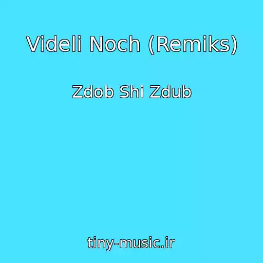 کاور آهنگ Videli Noch (Remiks) از Zdob Shi Zdub