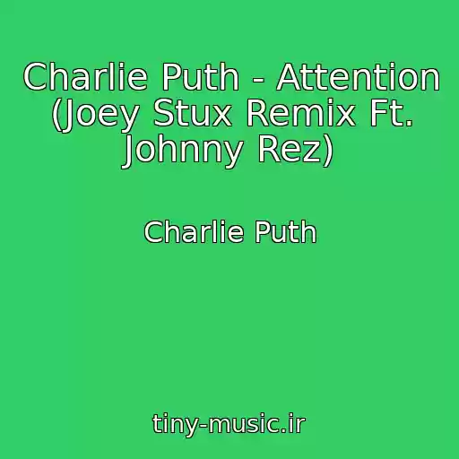 کاور آهنگ Charlie Puth - Attention (Joey Stux Remix Ft. Johnny Rez) از Charlie Puth
