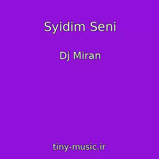 کاور آهنگ Syidim Seni از Dj Miran