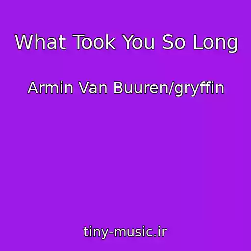 کاور آهنگ What Took You So Long از Armin Van Buuren/gryffin
