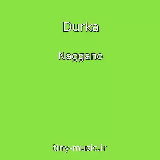 کاور آهنگ Durka از Naggano