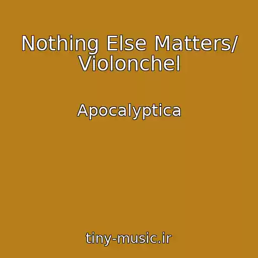 کاور آهنگ Nothing Else Matters/ Violonchel از Apocalyptica