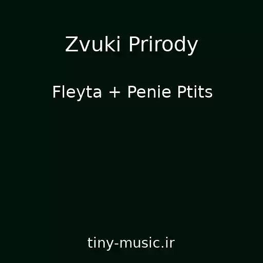 کاور آهنگ Zvuki Prirody از Fleyta + Penie Ptits