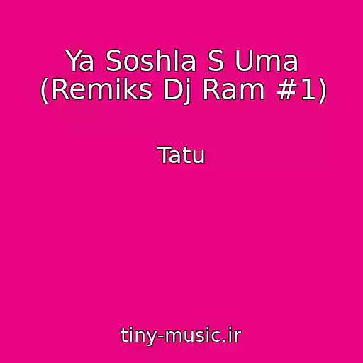 کاور آهنگ Ya Soshla S Uma (Remiks Dj Ram #1) از Tatu