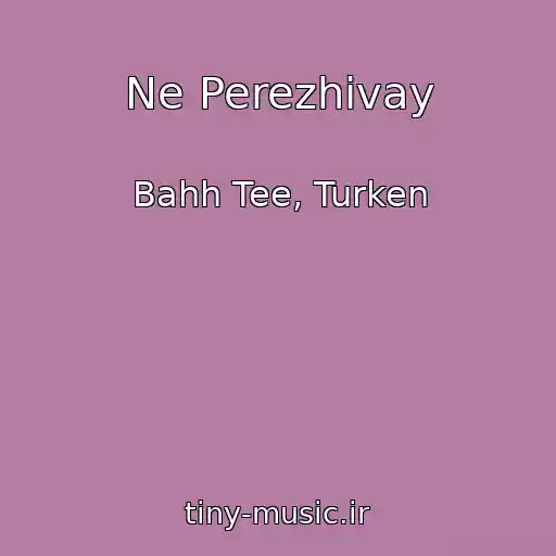 کاور آهنگ Ne Perezhivay از Bahh Tee, Turken