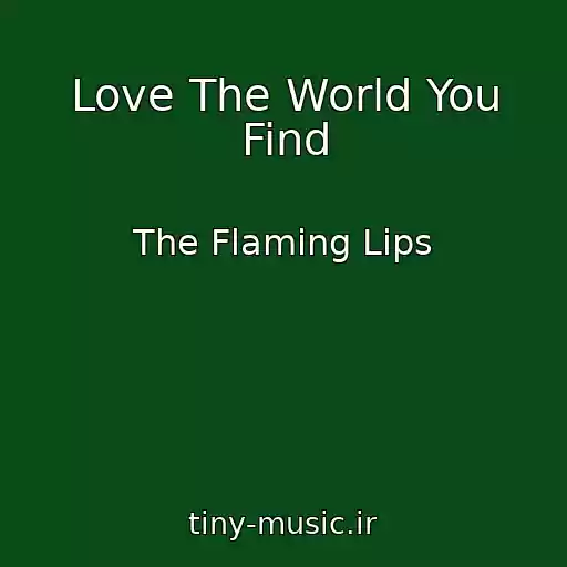 کاور آهنگ Love The World You Find از The Flaming Lips