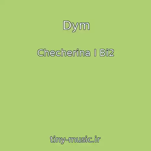 کاور آهنگ Dym از Checherina I Bi2