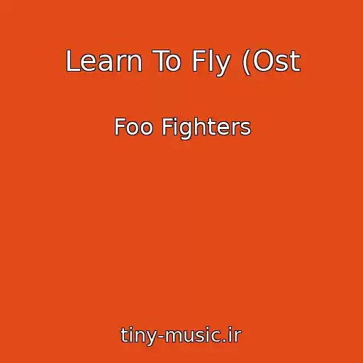 کاور آهنگ Learn To Fly (Ost از Foo Fighters