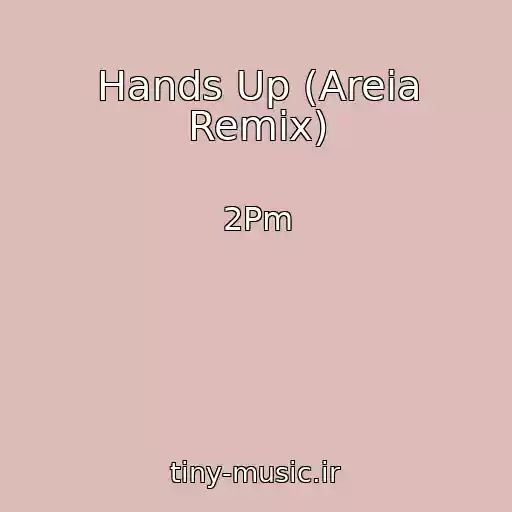 کاور آهنگ Hands Up (Areia Remix) از 2Pm
