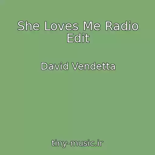 کاور آهنگ She Loves Me Radio Edit از David Vendetta