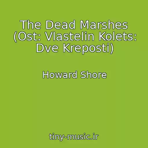کاور آهنگ The Dead Marshes (Ost: Vlastelin Kolets: Dve Kreposti) از Howard Shore