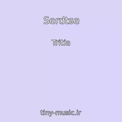 کاور آهنگ Serdtse از Tritia