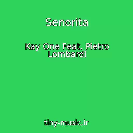 کاور آهنگ Senorita از Kay One Feat. Pietro Lombardi