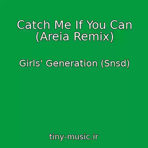 کاور آهنگ Catch Me If You Can (Areia Remix) از Girls' Generation (Snsd)