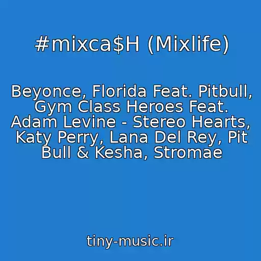 کاور آهنگ #mixca$H (Mixlife) از Beyonce, Florida Feat. Pitbull, Gym Class Heroes Feat. Adam Levine - Stereo Hearts, Katy Perry, Lana Del Rey, Pit Bull & Kesha, Stromae