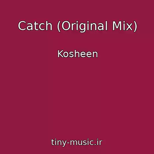 کاور آهنگ Catch (Original Mix) از Kosheen
