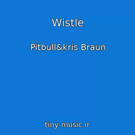 کاور آهنگ Wistle از Pitbull&kris Braun