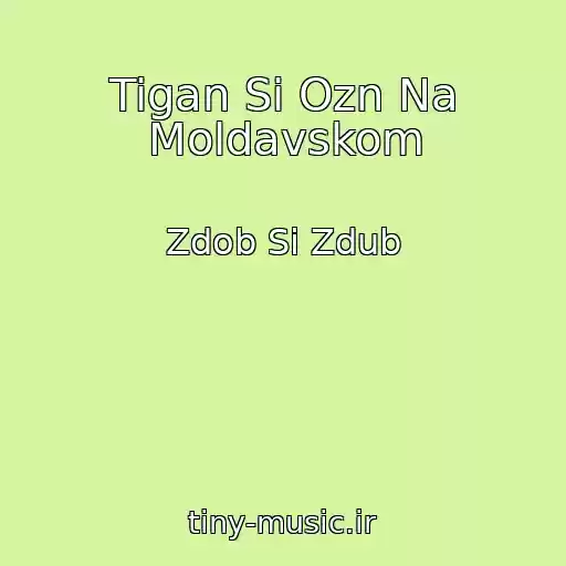 کاور آهنگ Tigan Si Ozn Na Moldavskom از Zdob Si Zdub