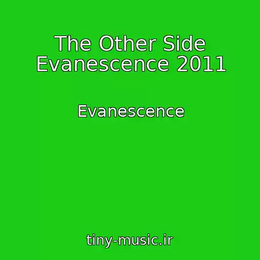 کاور آهنگ The Other Side Evanescence 2011 از Evanescence